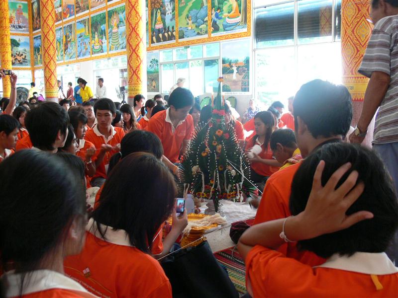 ../Picture/2552/P1360750 (Medium).JPG